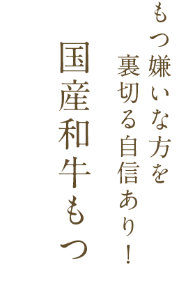 国産和牛もつ