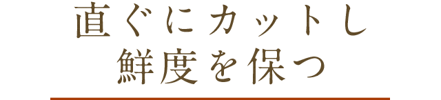 丁寧な手洗い